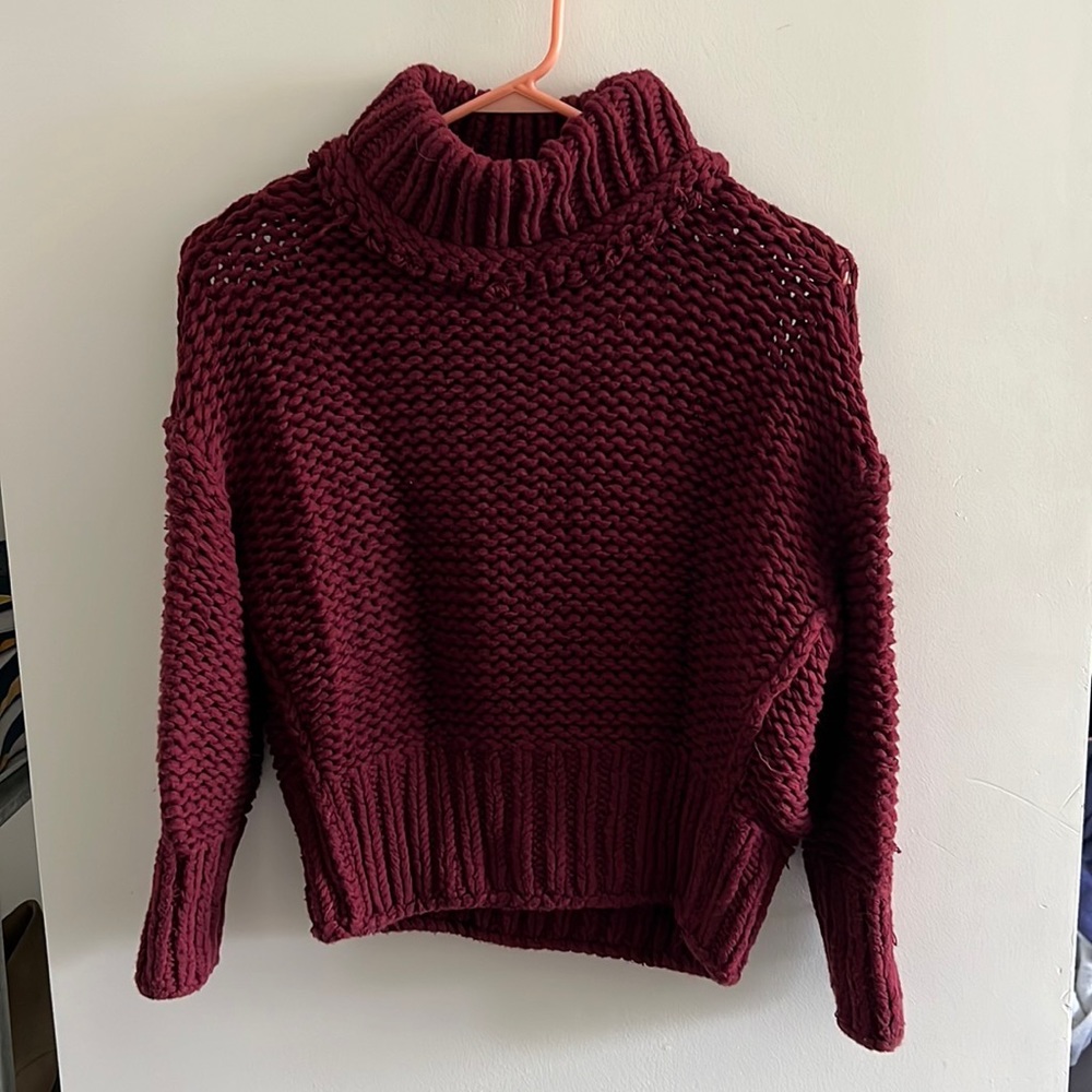 Free People Chunky Turtleneck